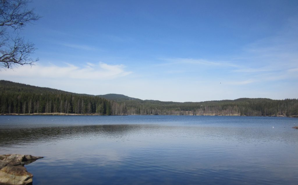 Sognsvann