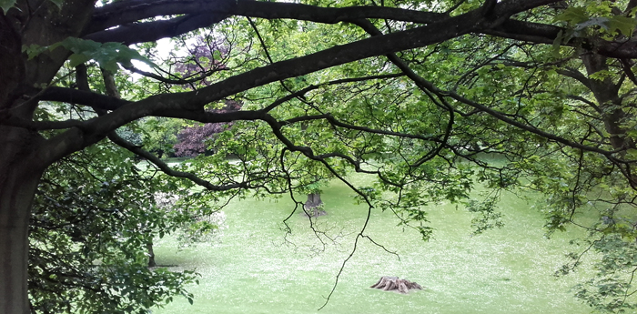 Edinburgh - Queen's Street Gardens