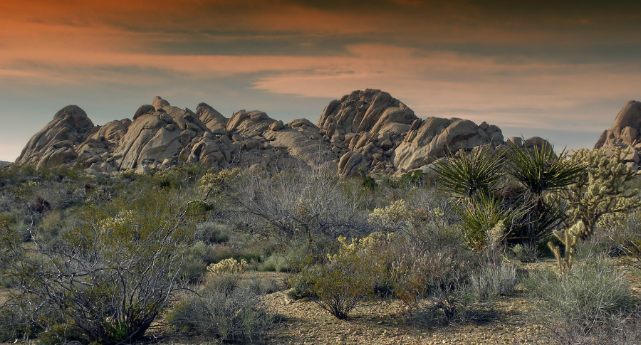 Mojave Desert