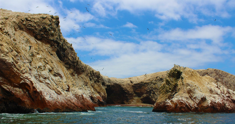 Perú - Islas Ballestas