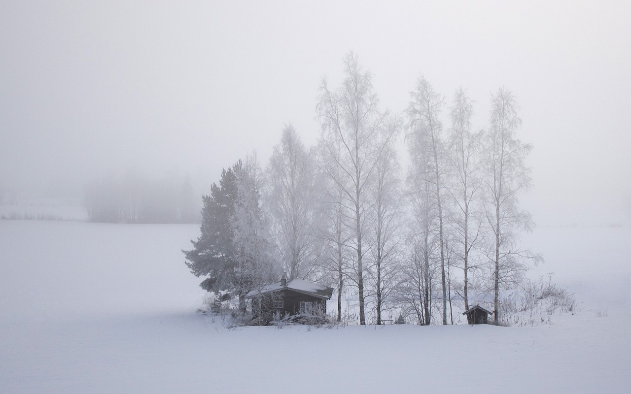 Finlandia en invierno