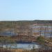 Viru Bog en Lahemaa National Park