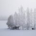 Finlandia en invierno